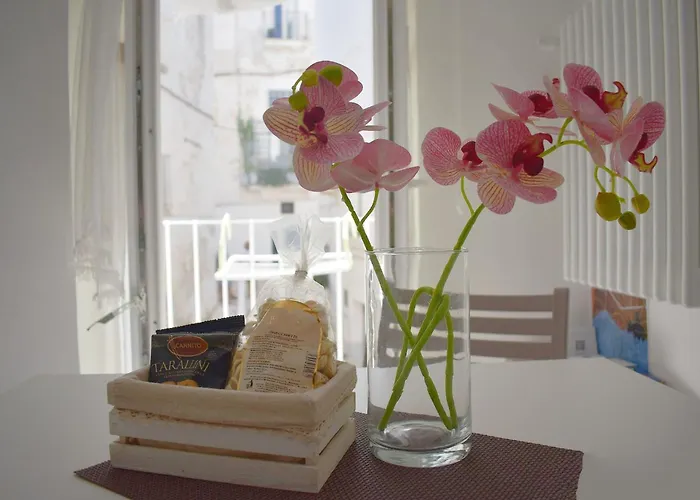 Dimora Vima מונופולי